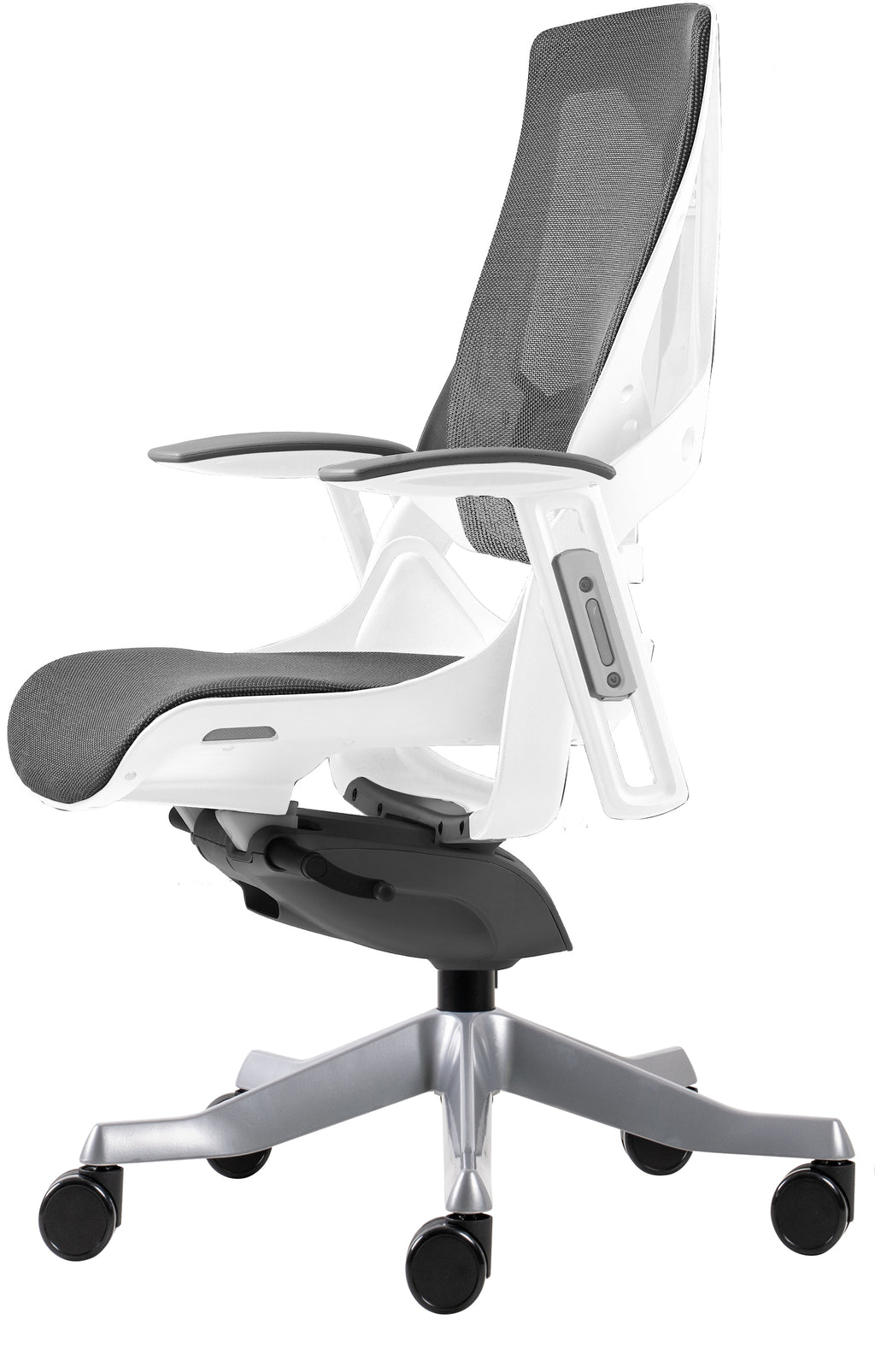 color:white