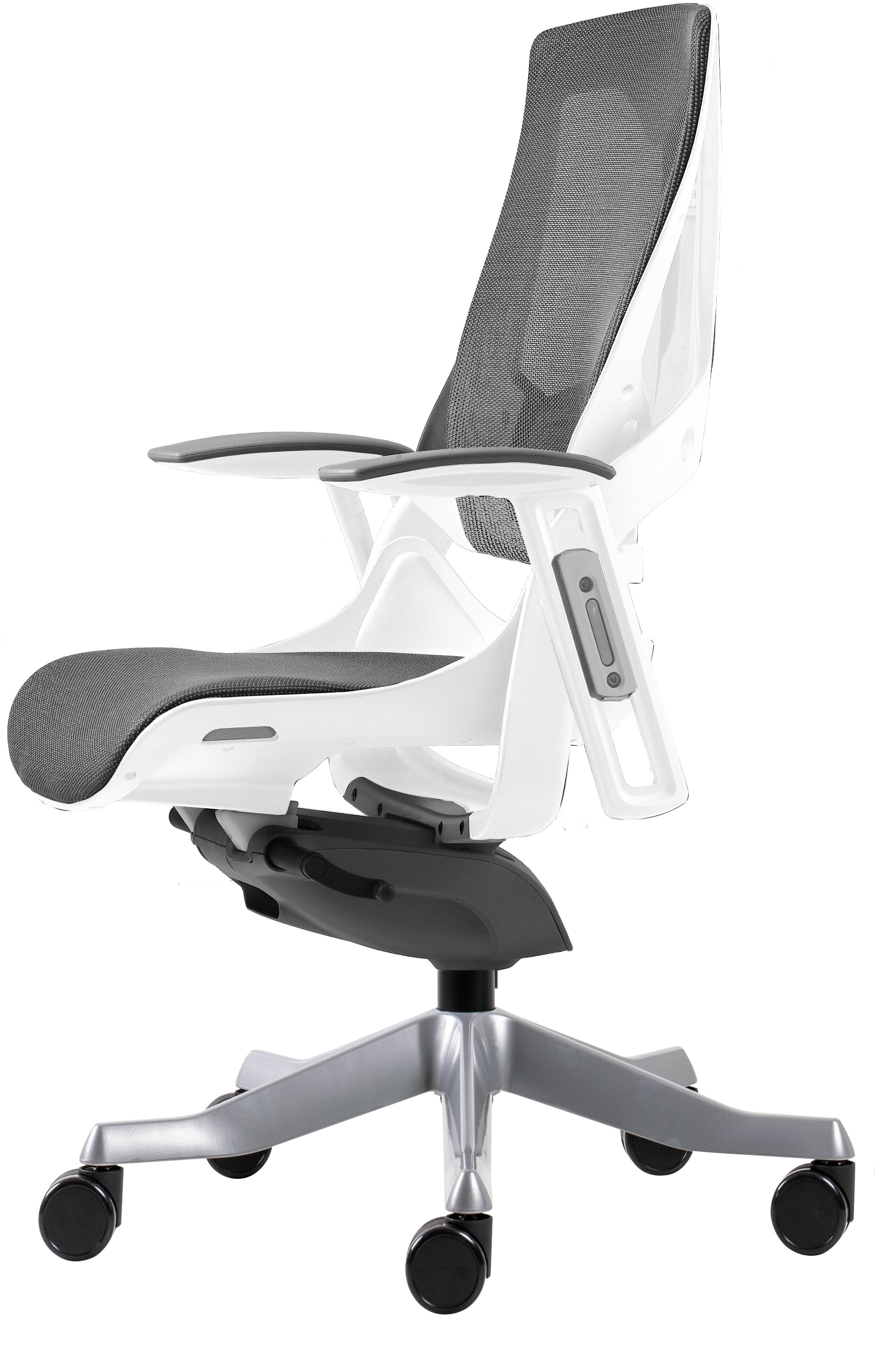 color:white