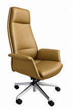 color:camel